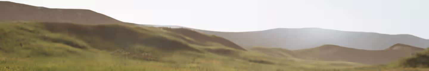 Rolling hills and meadows