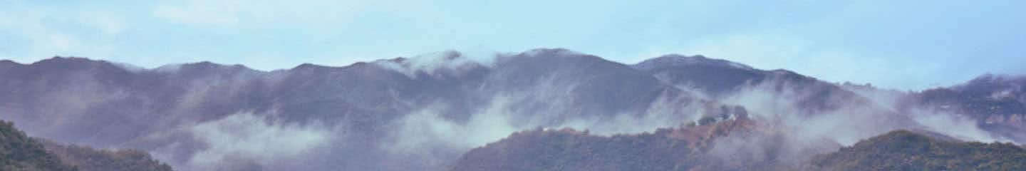 A mist-covered hillside landscape