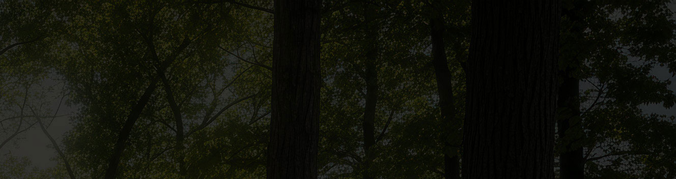 2026 F-150® Platinum® model hitched to a boat trailer parked near a house