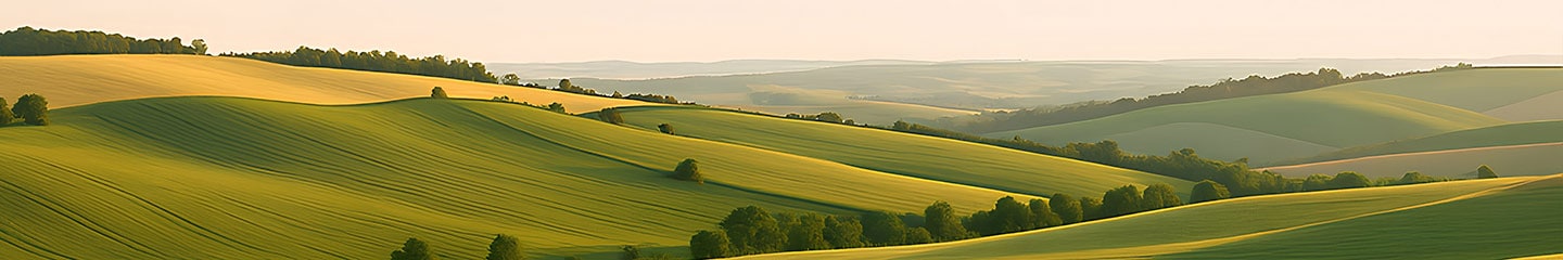 Panoramic view of a mountainscape