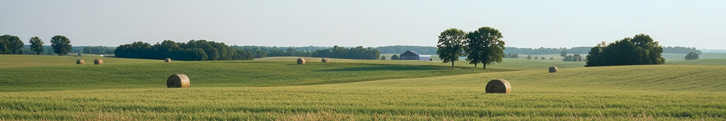 Farm landscape with bales of hay lying in the grass