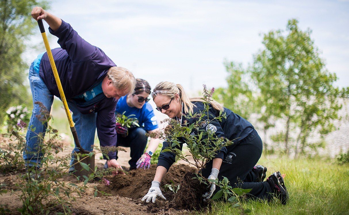 Three people gardening together