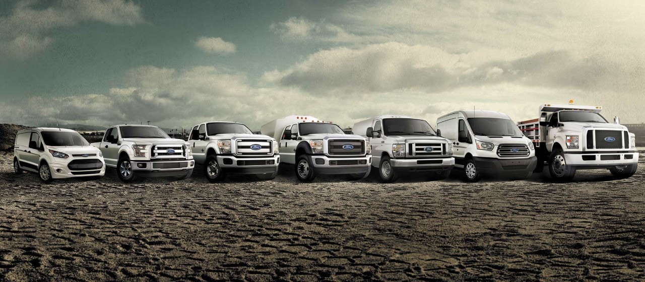 Ford Fleet