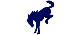 Ford Bronco logo