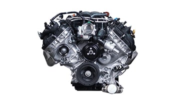 Selection Image