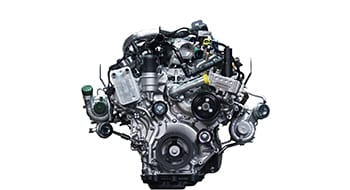 Selection Image