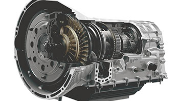 Selection Image