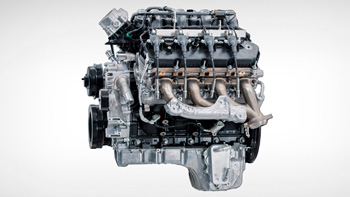 Selection Image