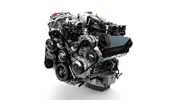 Selection Image