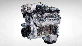 Selection Image