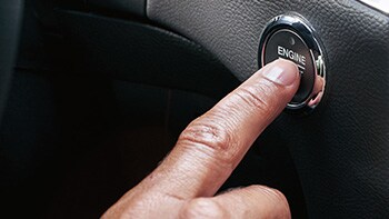 Selection Image