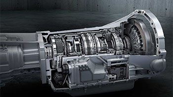 Selection Image
