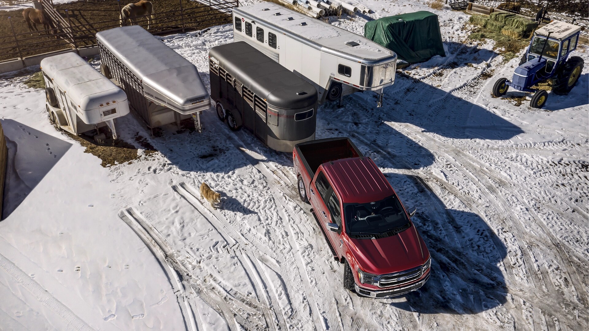 2025 Ford F-150® LARIAT® pickup backing up a horse trailer