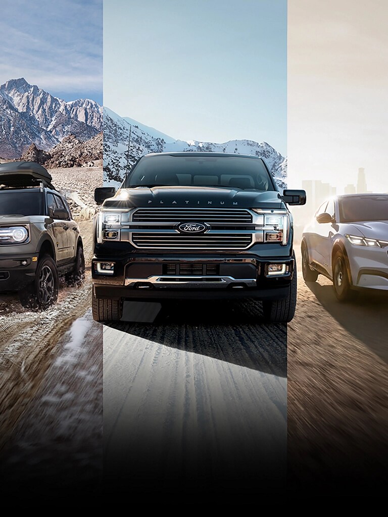 Line up of ford vehicles