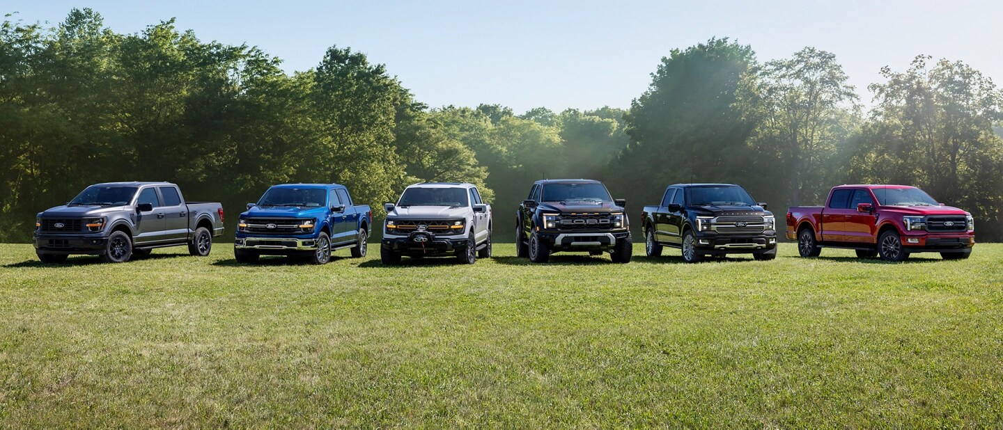 An F-150 lineup of six trucks parked in a grassy field.