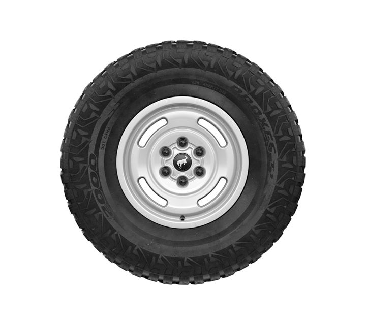17" beadlock-capable wheels with 35" LT315/70R17 BSW mud-terrain tires