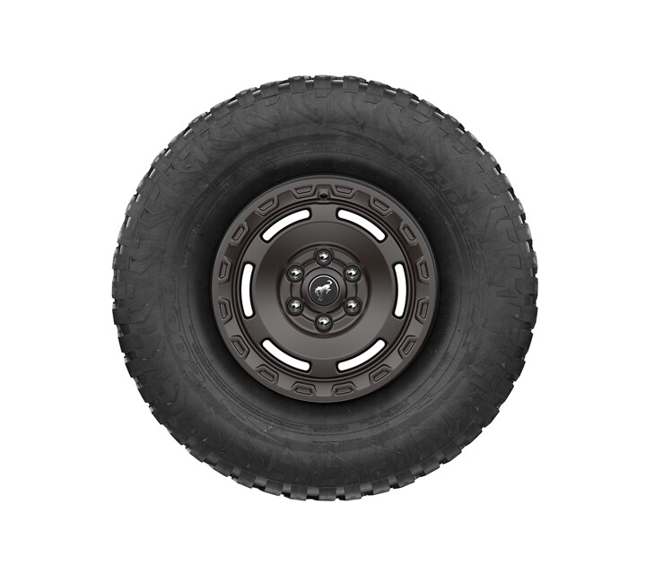 17" Carbonized-Painted Alloy wheel