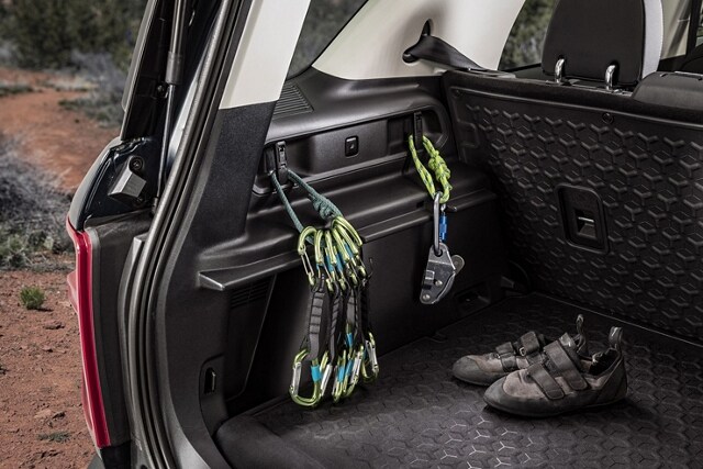 Close-up of carabiner hooks and loops
