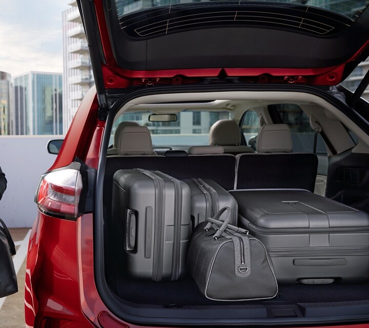 2024 Ford Edge Cargo Space Rahel Carmelle