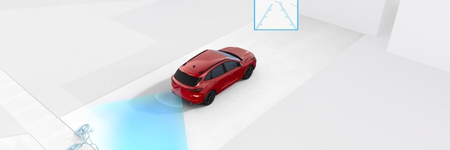Still frame of rear view camera in use