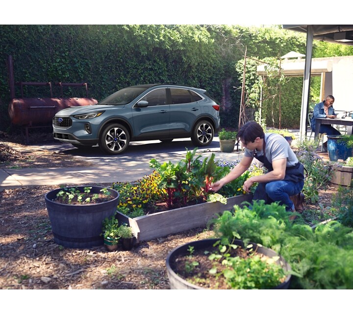 A man gardening with a grey 2024 Ford Escape® Platinum parked in the background