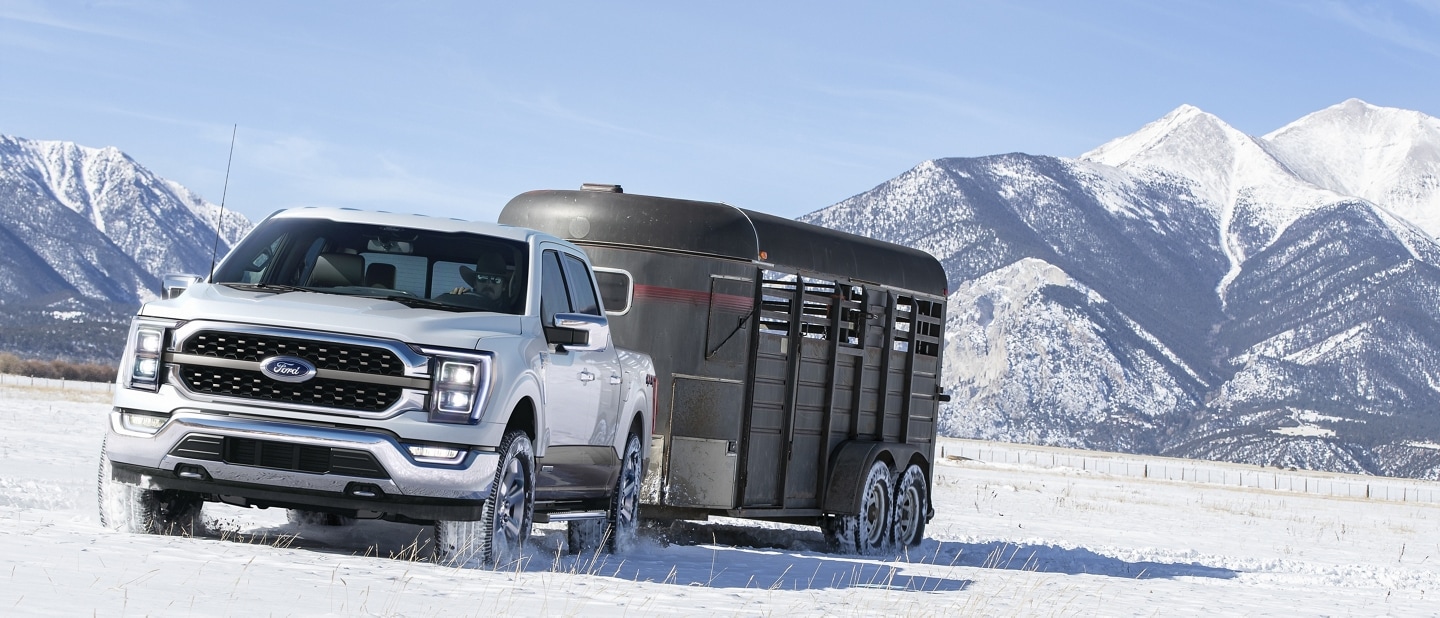 A 2021 Ford F 1 50 towing a horse trailer through the snow