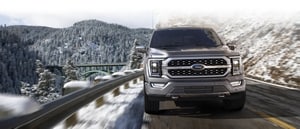 ford f 150 commercial truck