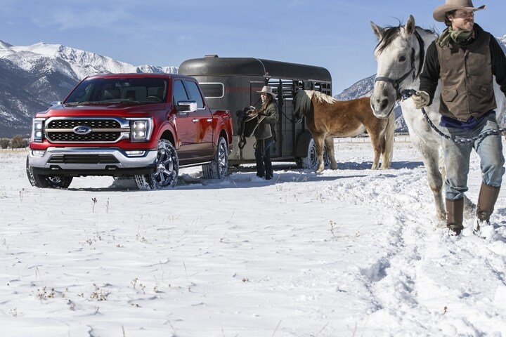 Two people unloading horses from a trailer attached to a 2023 Ford F-150® King Ranch™
