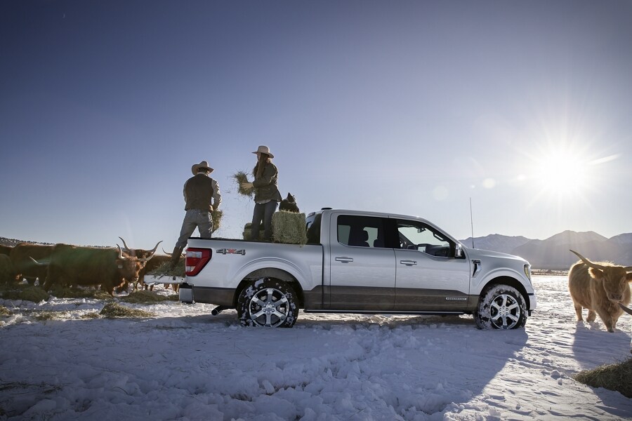Two people standing in the bed of a 2023 Ford F-150® hybrid parked on a snowy plain