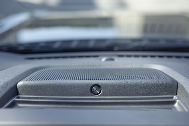 Close-up of a Bang & Olufsen® speaker